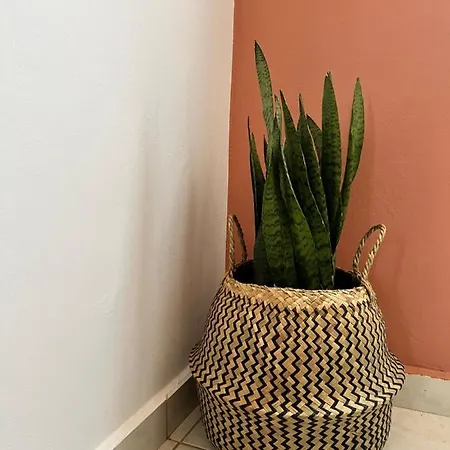 Casa Callianeira فيلة تسيليفي