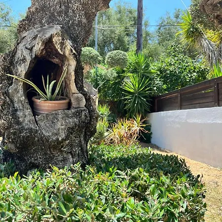 فيلة Casa Callianeira تسيليفي