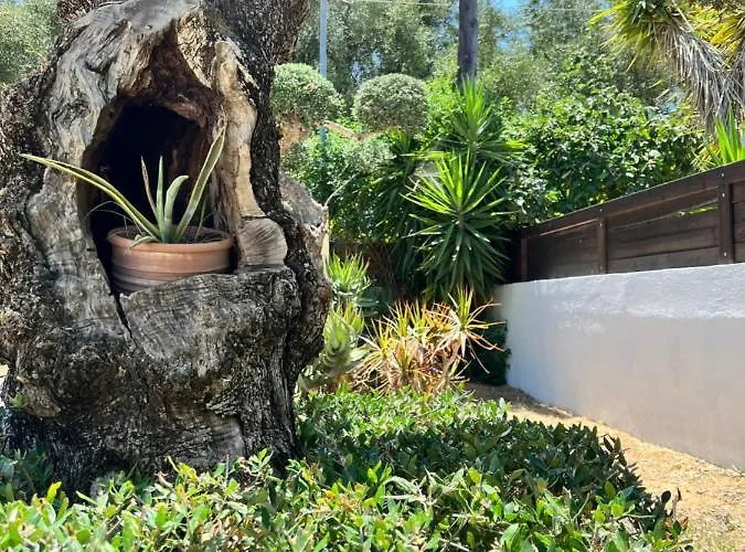 فيلة Casa Callianeira تسيليفي